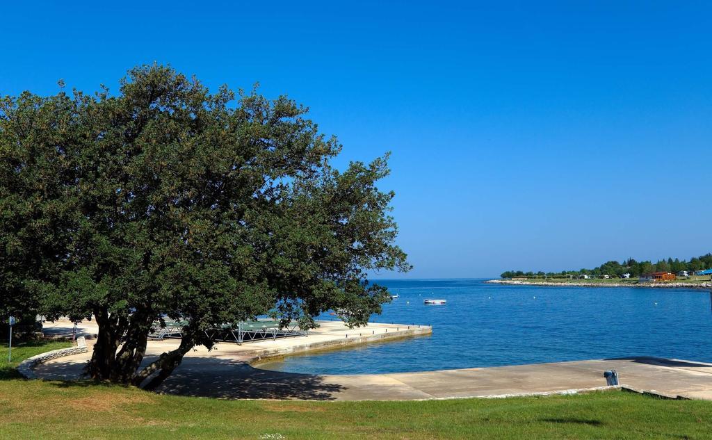 Happy Camp Mobile Homes In Camping Park Umag Karigador Exteriör bild